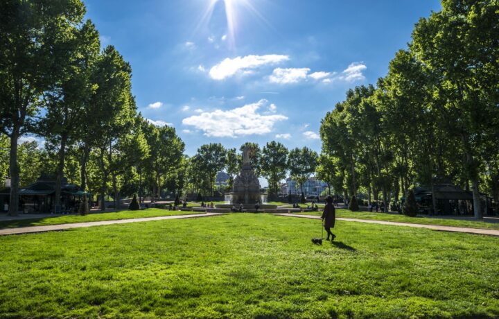 Tourisme en Auvergne-Rhône-Alpes : 10 lieux à découvrir